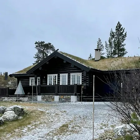 Log With Turf Roof Near * Rauland