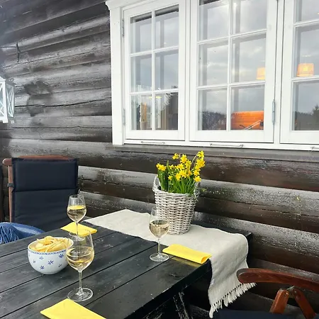 Log With Turf Roof Near *