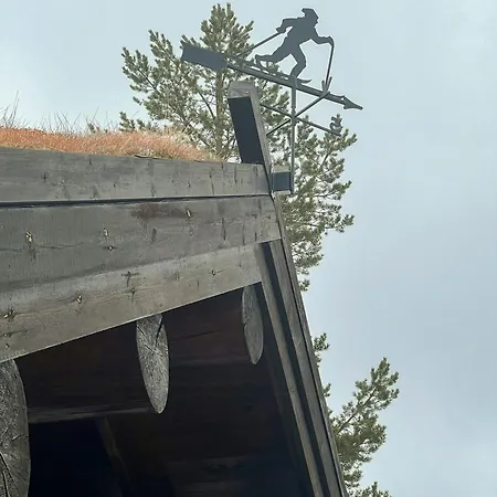 Log With Turf Roof Near